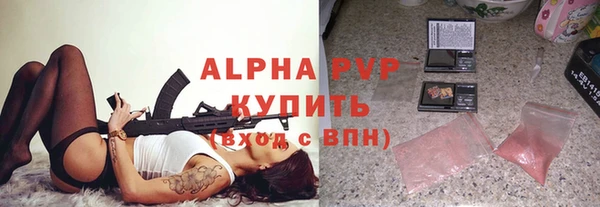 МДПВ Бородино