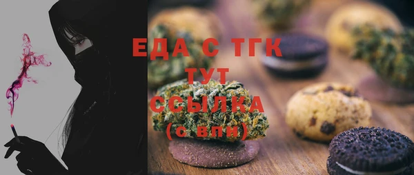 МДПВ Бородино