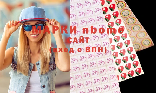 МДПВ Бородино