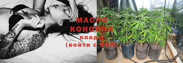mix Богородицк