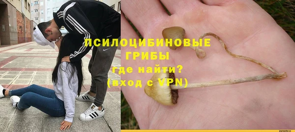 соль ск Бугульма