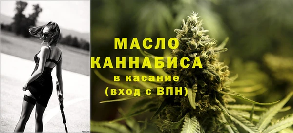 МДПВ Бородино
